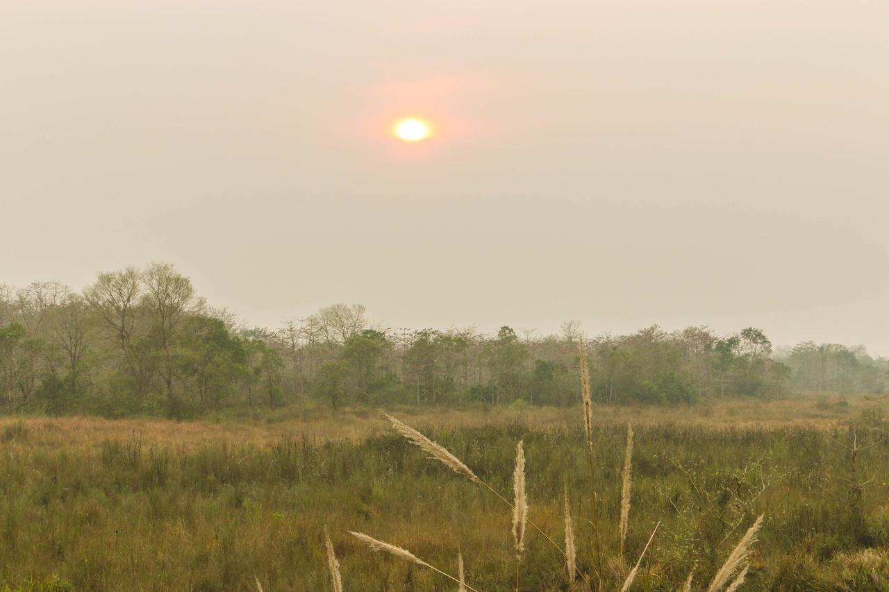 Jagatpur Lodge Khargauli Eksteriør bilde